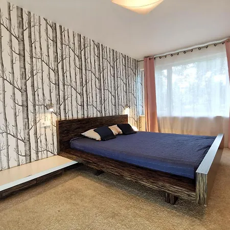 Vesetas Two Bedroom Design Apartment *